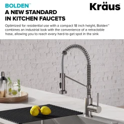 New Bolden Commercial Style Pull-Down Kitchen Faucet and Purita Water Filter Faucet Combo in Spot Free Stainless Steel Single Hole|Water Filter Faucets
