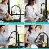 Clearance Bolden 18-Inch Commercial Kitchen Faucet with Pull-Down Sprayhead in Matte Black Single Hole