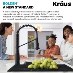 Clearance Bolden 18-Inch Commercial Kitchen Faucet with Pull-Down Sprayhead in Matte Black Single Hole
