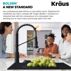 Online Bolden 18-Inch Commercial Kitchen Faucet with Pull-Down Sprayhead in Spot Free Stainless Single Hole