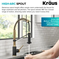 Clearance Bolden 18-Inch Commercial Kitchen Faucet with Pull-Down Sprayhead in Brushed Brass & Matte Black Single Hole