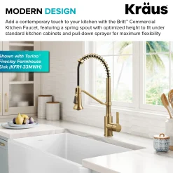 Sale Britt Single Handle Pull Down Kitchen Faucet in Spot-Free Brushed Brass Single Hole