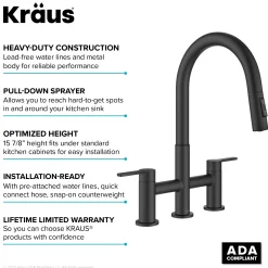Discount Contemporary Bridge Kitchen Faucet with Spray-Head in Matte Black Bridge Faucets