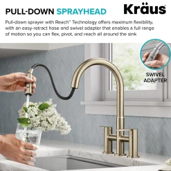 Discount Contemporary Bridge Kitchen Faucet with Spray-Head in Antique Bronze Bridge Faucets