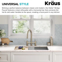 Discount Contemporary Bridge Kitchen Faucet with Spray-Head in Antique Bronze Bridge Faucets