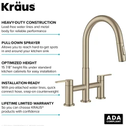 Discount Contemporary Bridge Kitchen Faucet with Spray-Head in Antique Bronze Bridge Faucets
