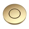 Contemporary Flat Top Garbage Disposal Air Switch Button in Brushed Brass Garbage Disposals & Parts