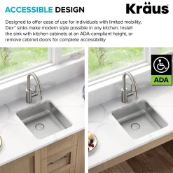 Sale Dex 17" Undermount 16 Gauge Stainless Steel ADA Kitchen Sink Ada Compliant|Stainless Steel Sinks