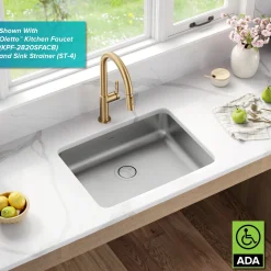 Outlet Dex 25" Undermount 16 Gauge Stainless Steel ADA Kitchen Sink Ada Compliant|Stainless Steel Sinks