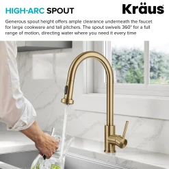2-Function Single Handle Pull Down Kitchen Faucet in Spot-Free Brushed Brass Single Hole