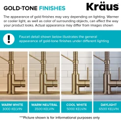 2-Function Single Handle Pull Down Kitchen Faucet in Spot-Free Brushed Brass Single Hole
