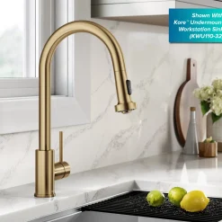 2-Function Single Handle Pull Down Kitchen Faucet in Spot-Free Brushed Brass Single Hole