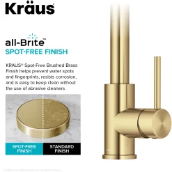 2-Function Single Handle Pull Down Kitchen Faucet in Spot-Free Brushed Brass Single Hole