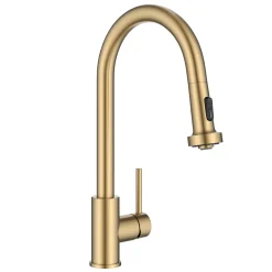 2-Function Single Handle Pull Down Kitchen Faucet in Spot-Free Brushed Brass Single Hole
