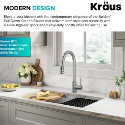 Online 2-Function Single Handle Pull Down Kitchen Faucet in Spot-Free Stainless Single Hole