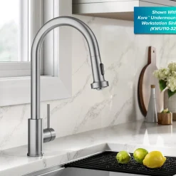Online 2-Function Single Handle Pull Down Kitchen Faucet in Spot-Free Stainless Single Hole
