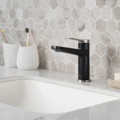 Discount Indy Single Handle Bathroom Faucet in Spot Free Stainless Steel/Matte Black Single Hole