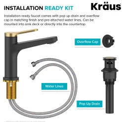 Indy Single Handle Bathroom Faucet in Matte Black with Brushed Brass Single Hole