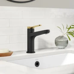 Indy Single Handle Bathroom Faucet in Matte Black with Brushed Brass Single Hole