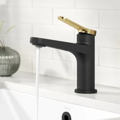 Indy Single Handle Bathroom Faucet in Matte Black with Brushed Brass Single Hole