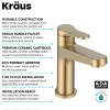 Indy Single Handle Bathroom Faucet in Spot-Free Brushed Brass Single Hole