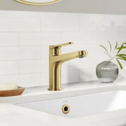 Indy Single Handle Bathroom Faucet in Spot-Free Brushed Brass Single Hole