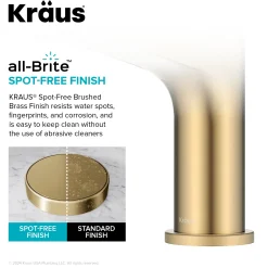 Indy Single Handle Bathroom Faucet in Spot-Free Brushed Brass Single Hole