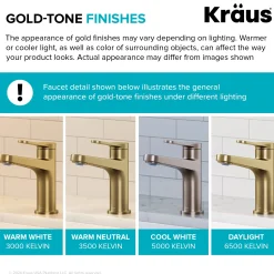 Indy Single Handle Bathroom Faucet in Spot-Free Brushed Brass Single Hole