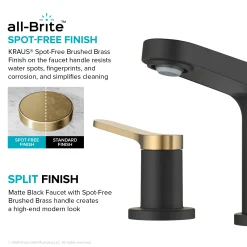 Outlet Indy Widespread Bathroom Faucet in Matte Black with Brushed Brass 8