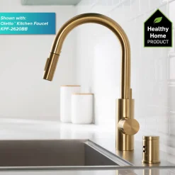 Best KAG-1 Air Gap Sink Drains, Disposer Flanges & Air Gaps