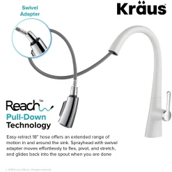 Nolen Dual Function Pull-Down Kitchen Faucet in Chrome/White Single Hole