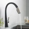 New Nolen Dual Function Pull-Down Kitchen Faucet in Spot Free Stainless Steel/Matte Black Single Hole