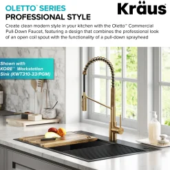 Outlet Oletto Commercial Style Pull-Down Single Handle Kitchen Faucet in Brushed Brass Single Hole
