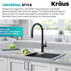 Oletto High-Arc Single Handle Pull-Down Kitchen Faucet in Matte Black Single Hole