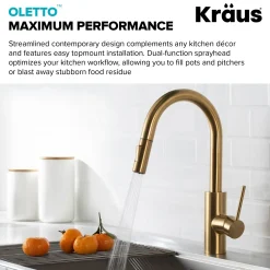 Best Oletto Pull-Down Kitchen Faucet & Purita Water Filter Faucet in Brushed Brass Single Hole|Water Filter Faucets