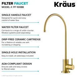Best Oletto Pull-Down Kitchen Faucet & Purita Water Filter Faucet in Brushed Brass Single Hole|Water Filter Faucets
