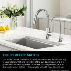 Sale Oletto Pull-Down Kitchen Faucet & Purita Water Filter Faucet in Chrome Single Hole|Water Filter Faucets