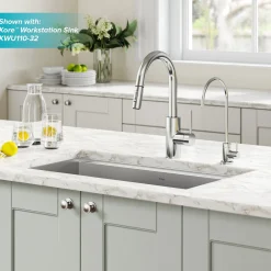 Sale Oletto Pull-Down Kitchen Faucet & Purita Water Filter Faucet in Chrome Single Hole|Water Filter Faucets