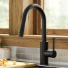 Oletto Pull-Down Single Handle Kitchen Faucet in Matte Black Single Hole