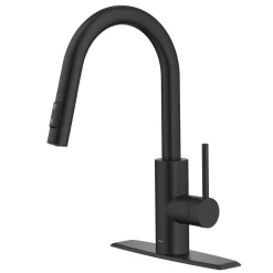 Oletto Pull-Down Single Handle Kitchen Faucet in Matte Black Single Hole
