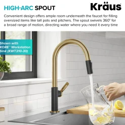 Oletto Single Handle Brushed Brass & Matte Black Pull-Down Kitchen Faucet Single Hole