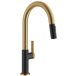 Oletto Single Handle Brushed Brass & Matte Black Pull-Down Kitchen Faucet Single Hole