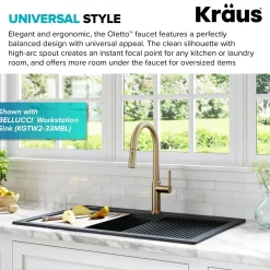 Online Oletto Single Handle Pull-Down Kitchen Faucet in Spot Free Antique Champagne Bronze Single Hole