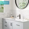 Outlet Ramus Single Handle Bathroom Sink Faucet with Lift Rod Drain in Gunmetal - **Discontinued ** Single Hole