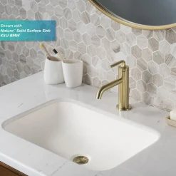 Discount Ramus Single Handle 2-Pack Bathroom Sink Faucet with Lift Rod Drain in Brushed Gold Single Hole