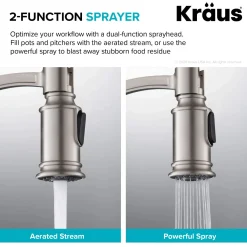 Online Sellette Commercial Style Pull-Down Kitchen Faucet with Deck Plate and Soap Dispenser in Spot Free Stainless Steel Single Hole