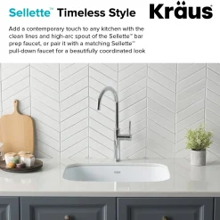 Sellette Kitchen Bar Faucet in Chrome Single Hole|Bar Faucets