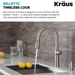 Best Sellette Traditional Single Handle Pull-Down Kitchen Faucet with Soap Dispenser and Deck Plate in Spot Free Stainless Steel Single Hole
