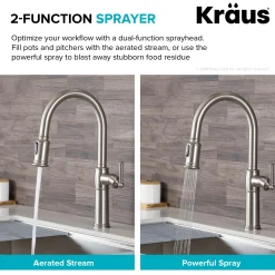 Best Sellette Traditional Single Handle Pull-Down Kitchen Faucet with Soap Dispenser and Deck Plate in Spot Free Stainless Steel Single Hole