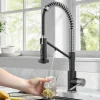 Hot Single Handle Kitchen Faucet with Integrated Dispenser for Water Filtration in Spot-Free Stainless Steel & Matte Black Single Hole|Water Filter Faucets